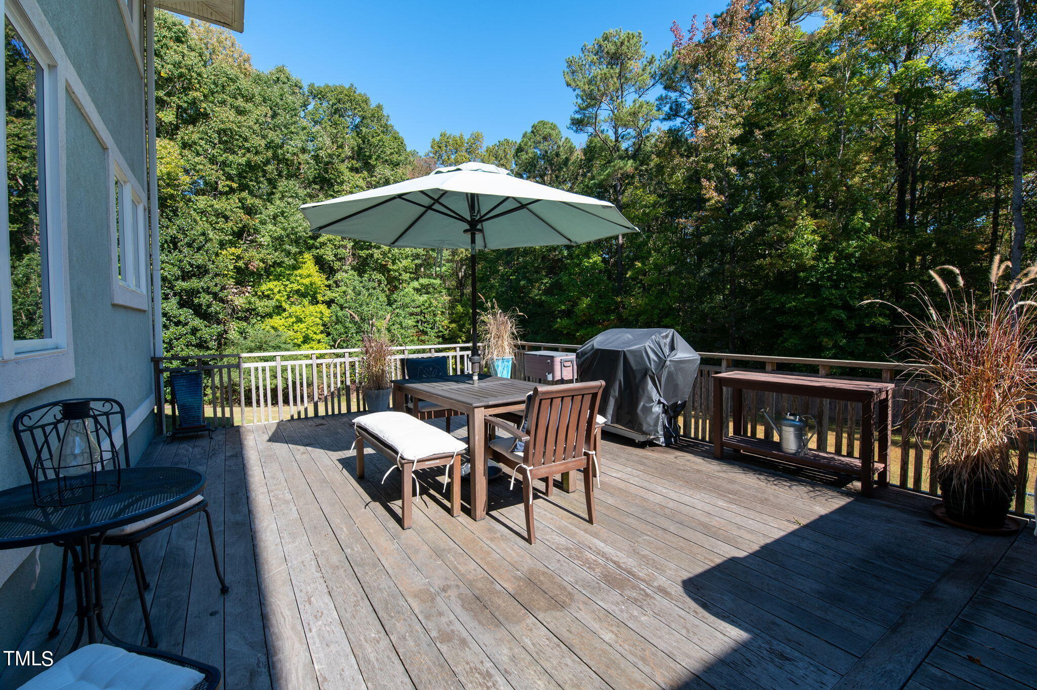 1209 Ravens Point Circle