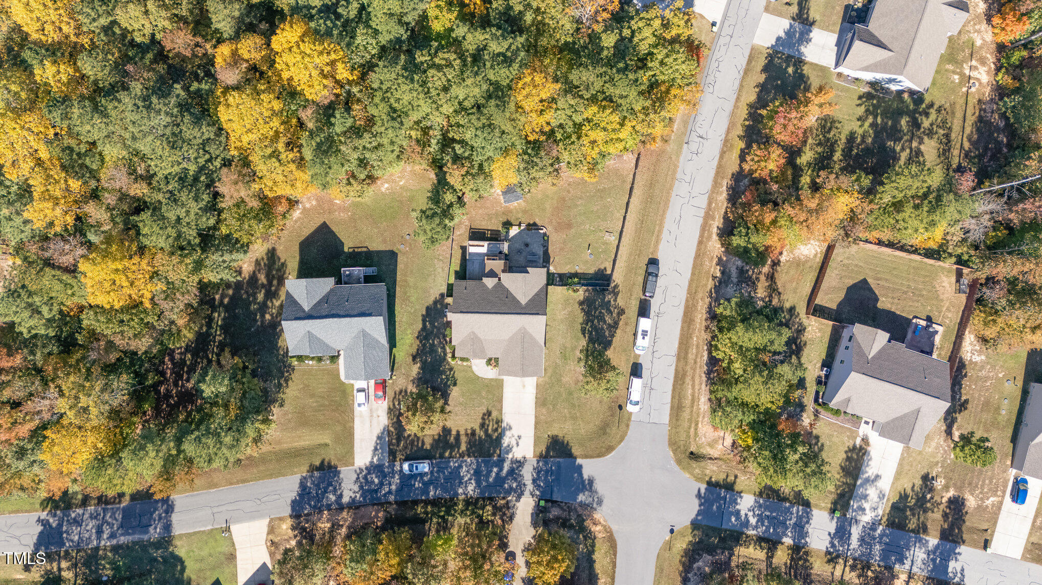 115 Saddletree Drive