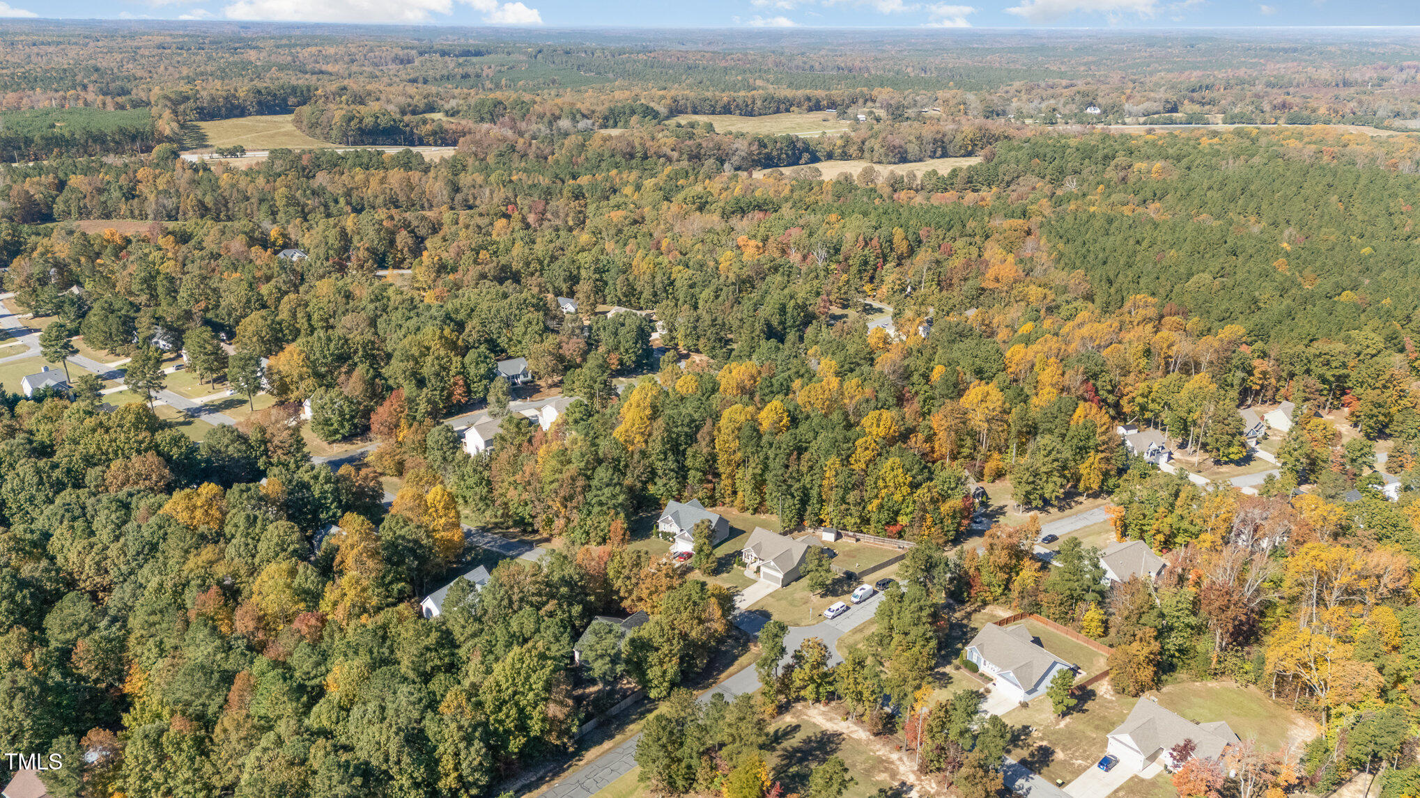 115 Saddletree Drive