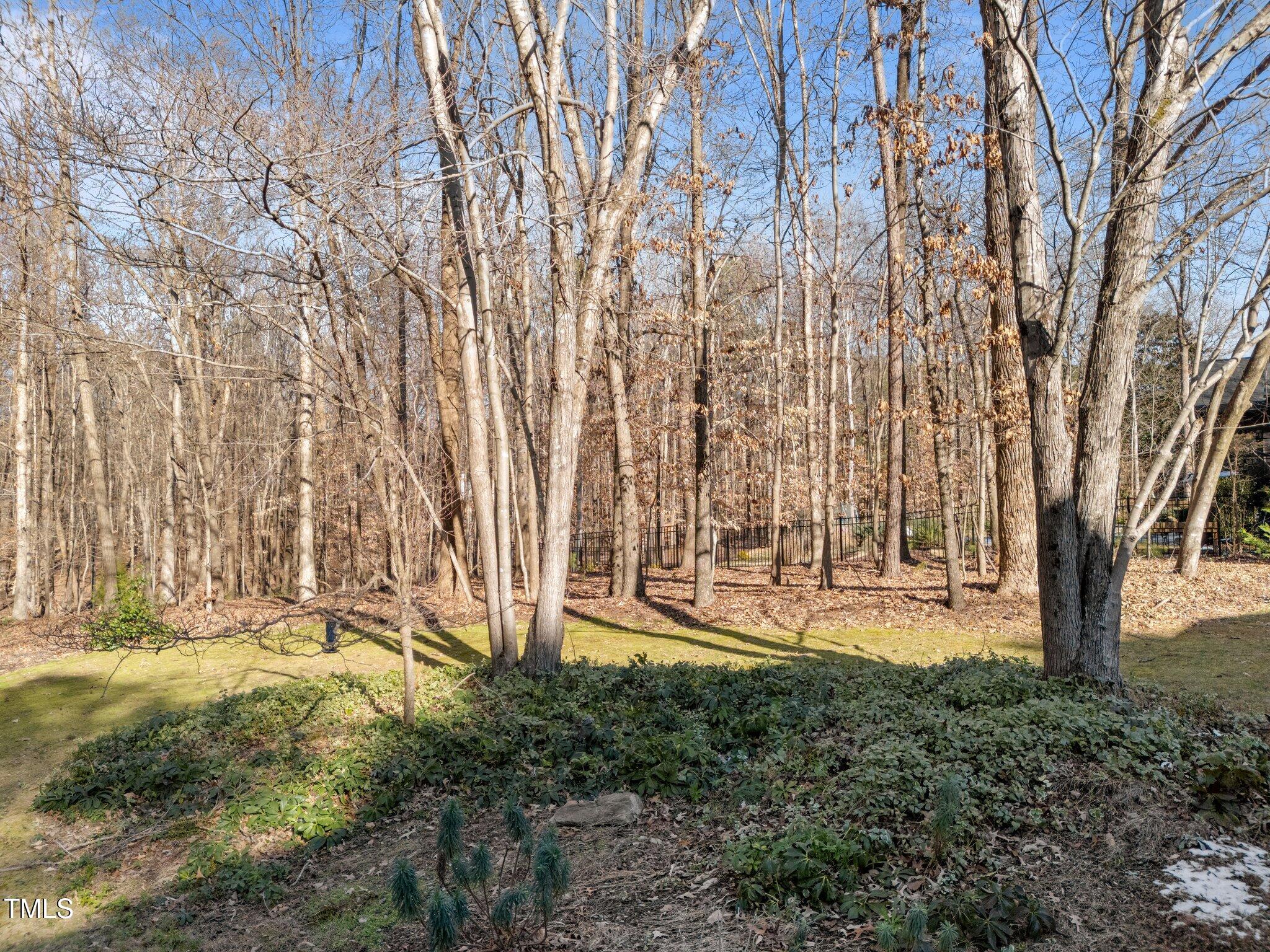 216 Jansmith Lane
