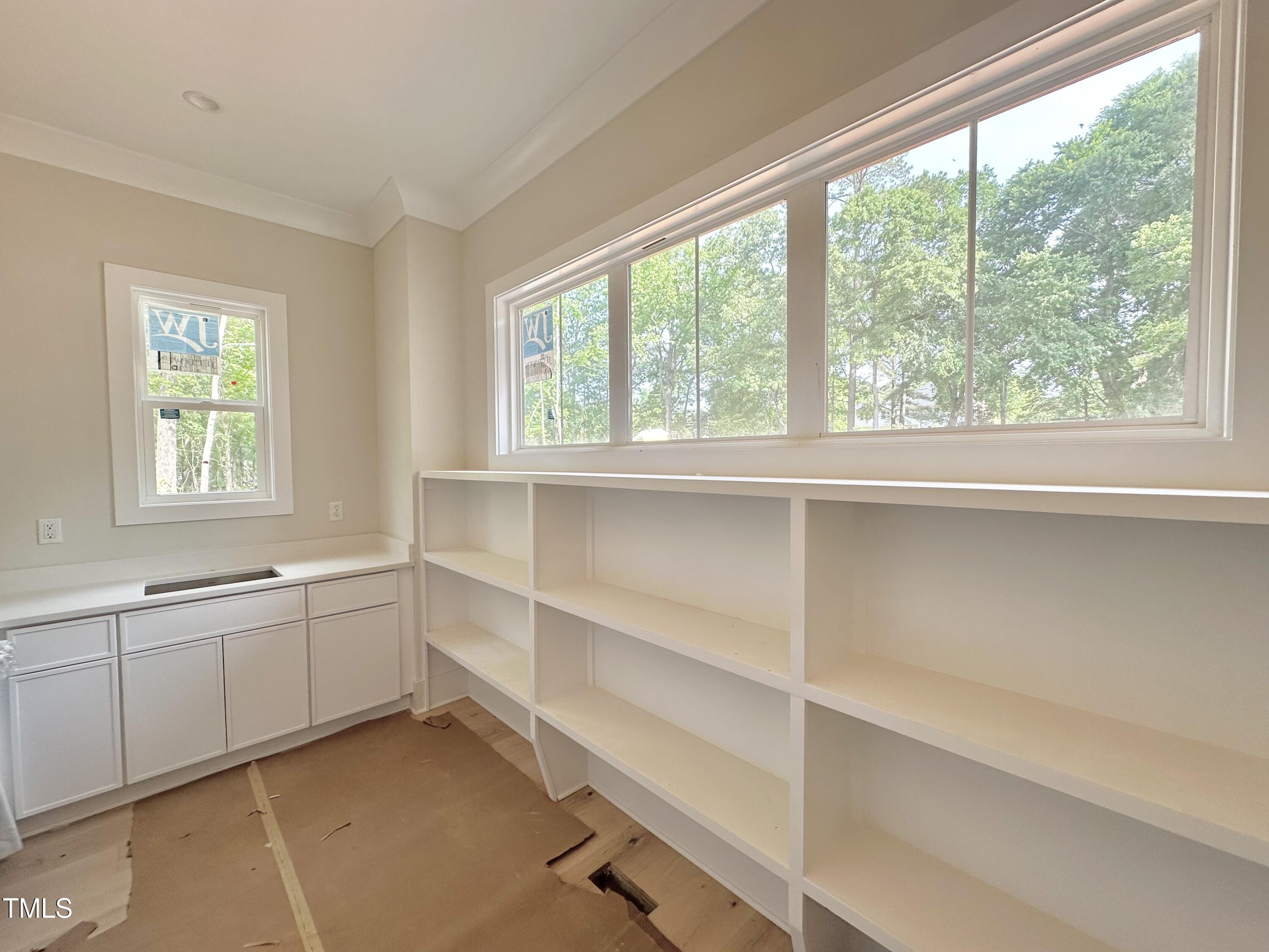 1309 Sanctuary Pond Drive
