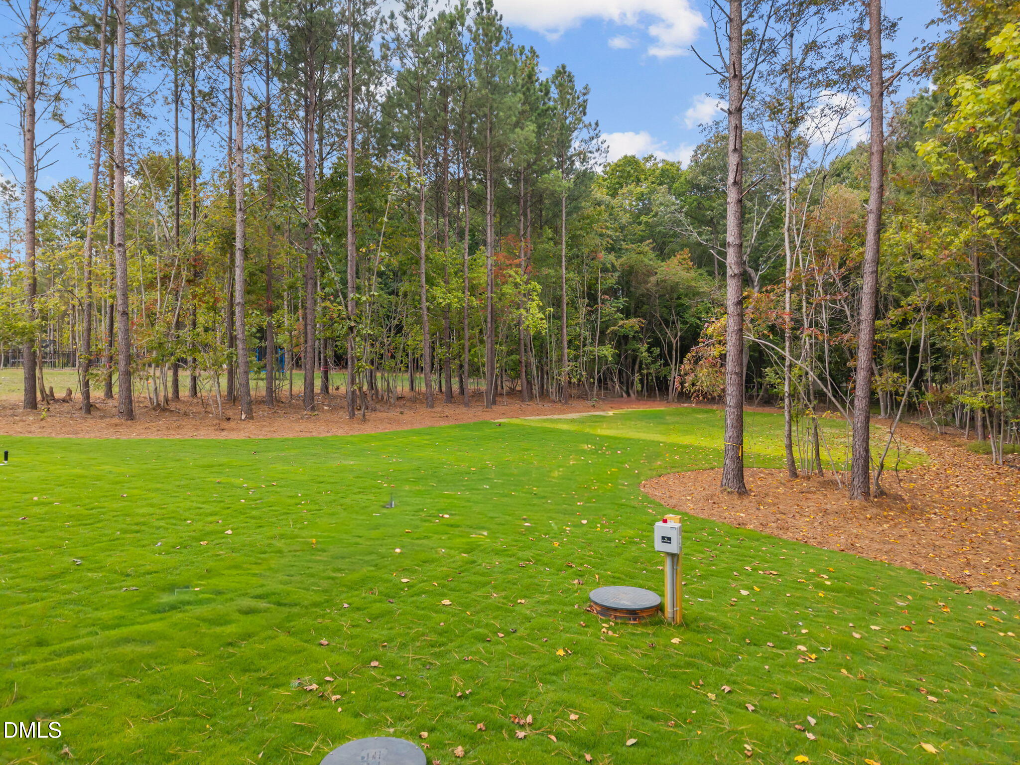 155 Cherry Bark Drive