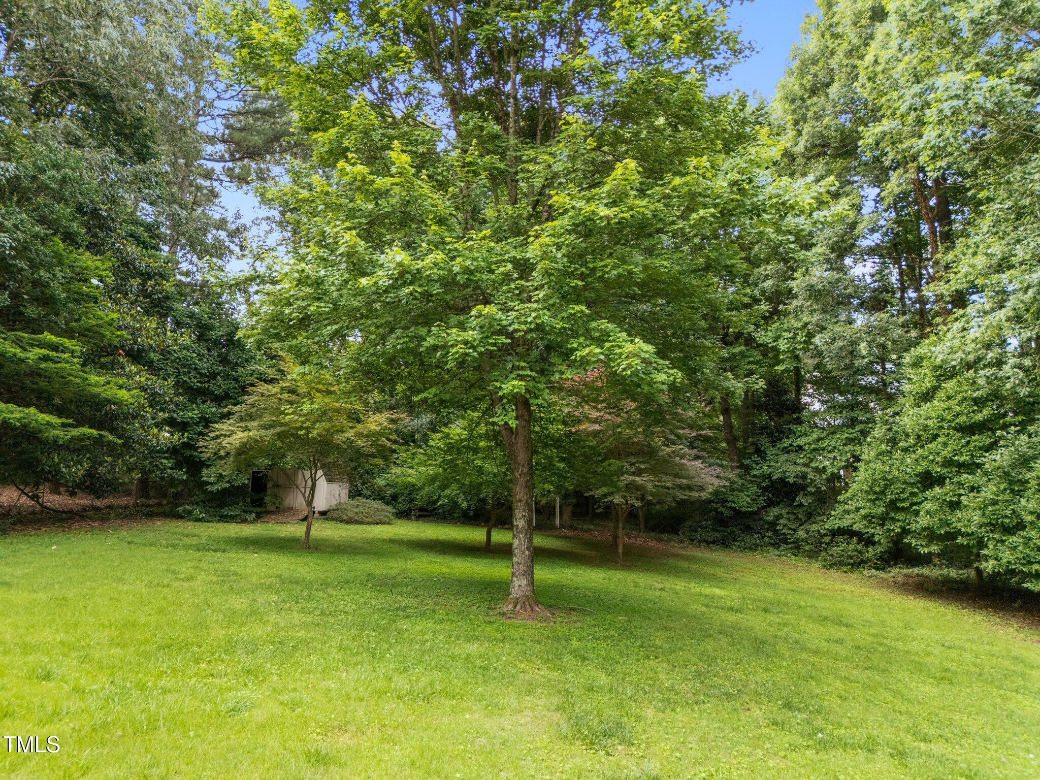 204 Chatterson Drive