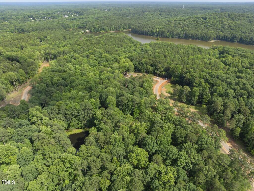 6736 Brixley Crest Court