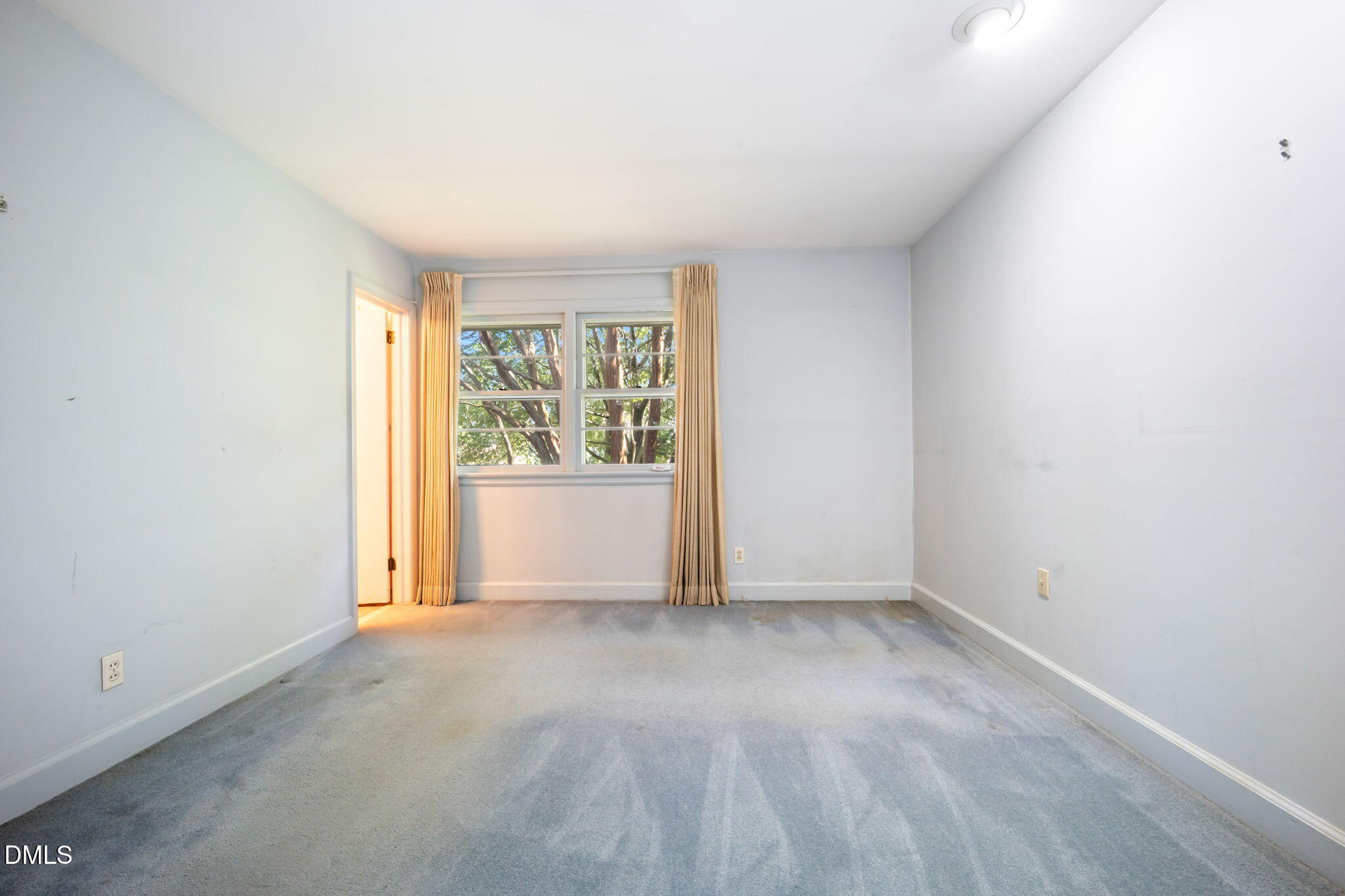 2137 Coley Forest Place