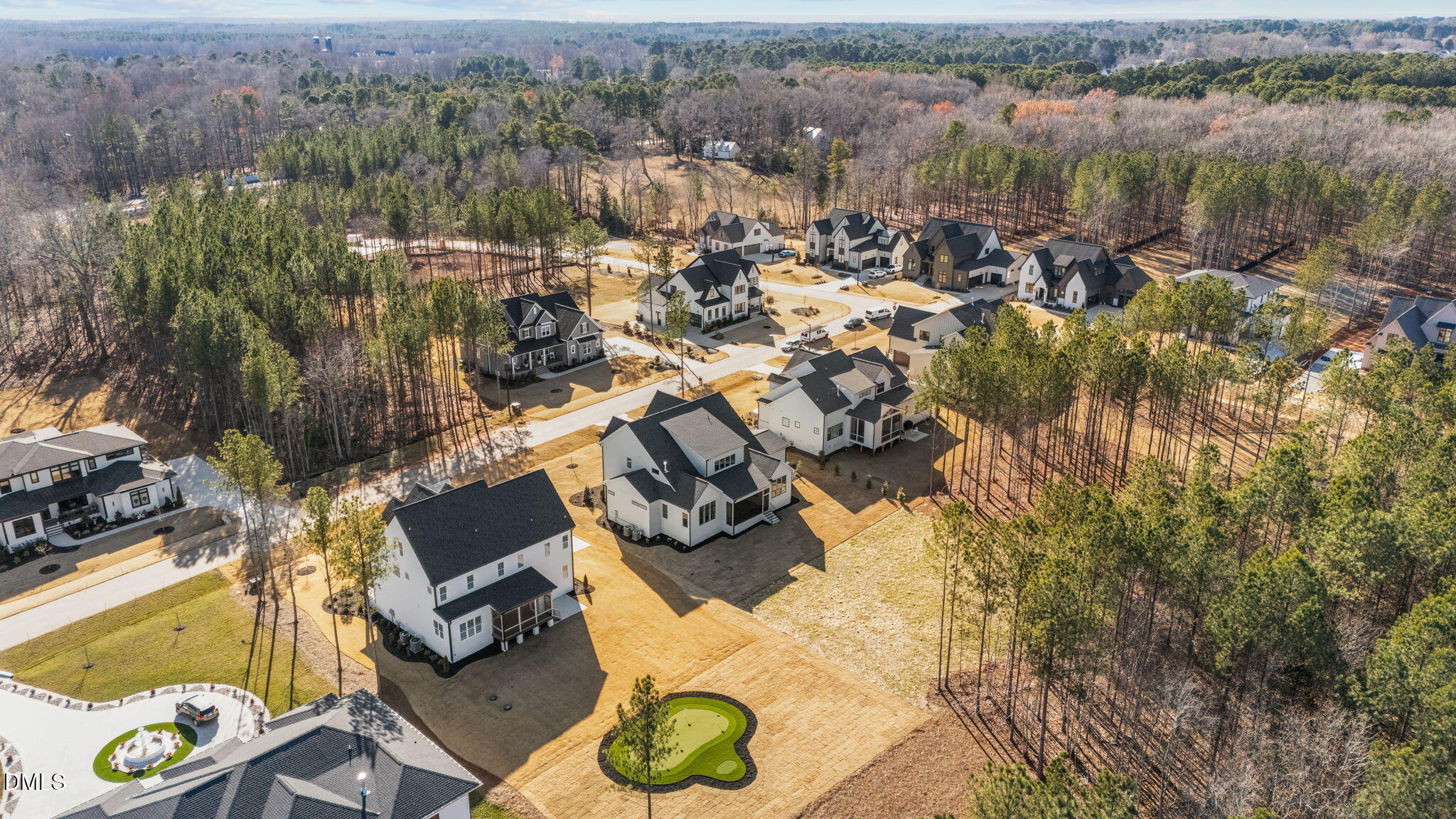 35 Chestnut Oak Drive