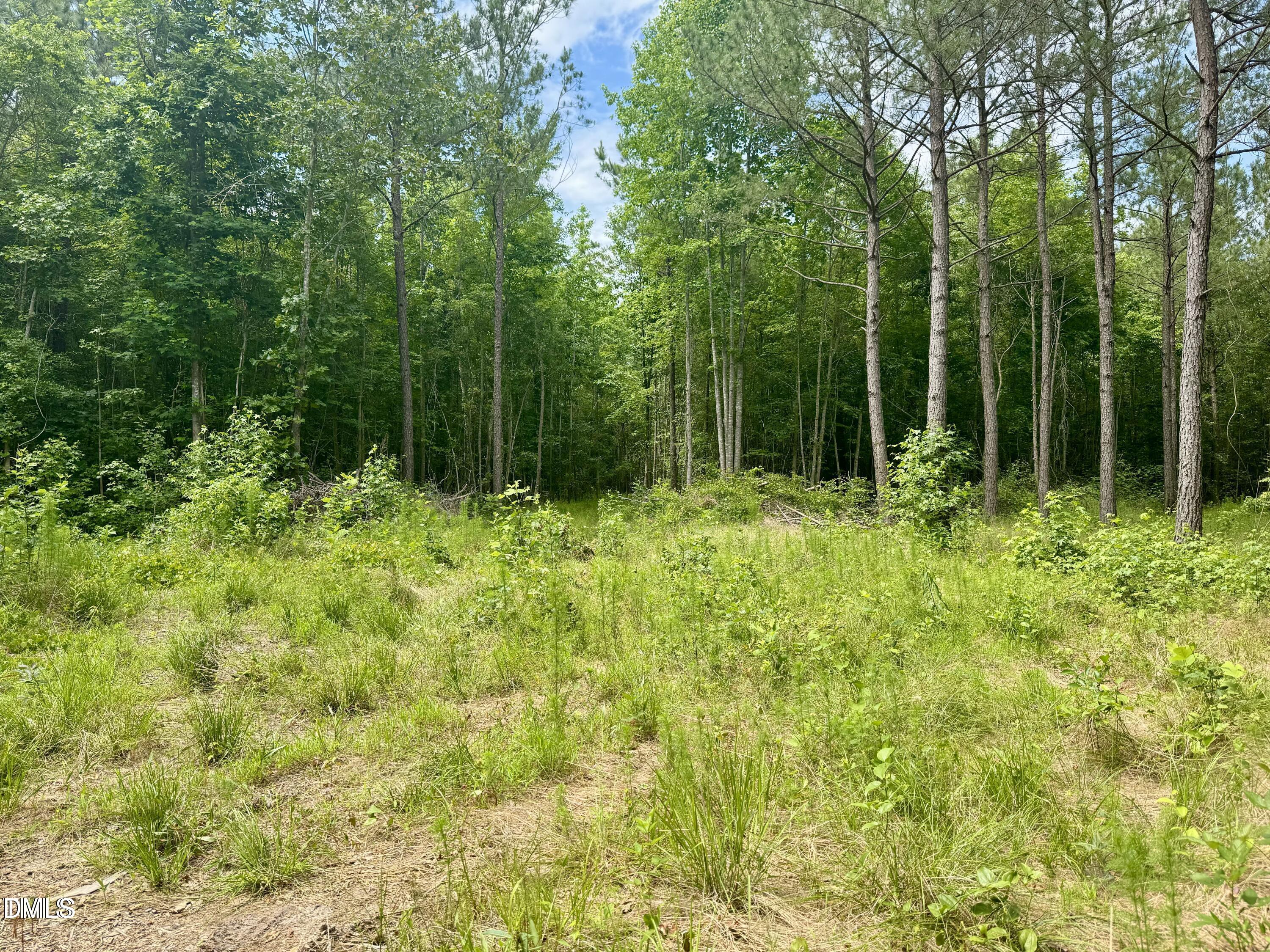 Tract 1 Frazier Road