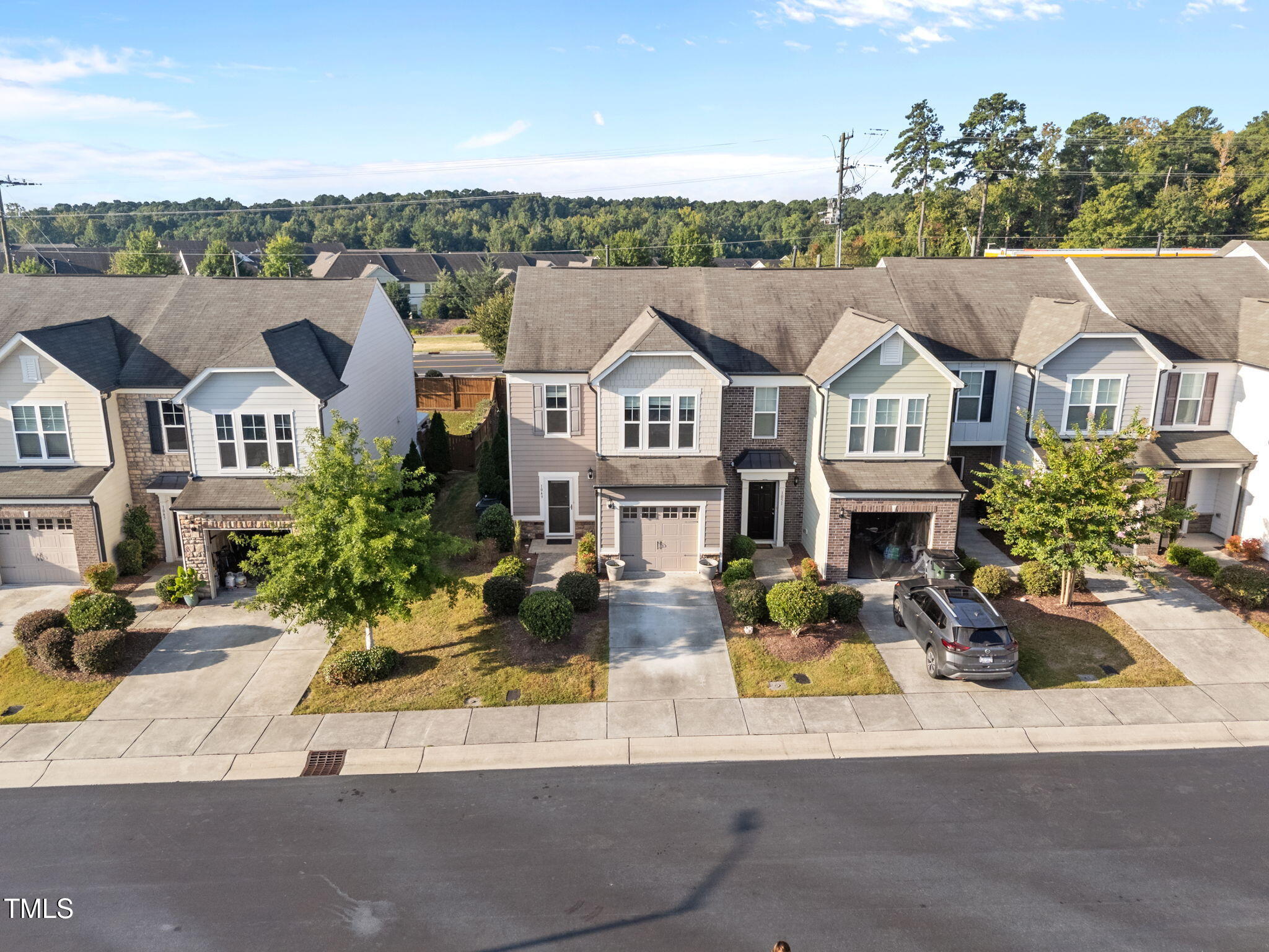 1049 Laceflower Drive