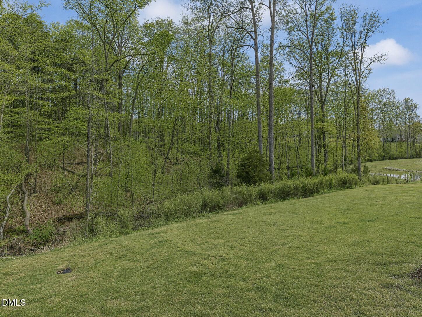 170 Sawtooth Oak Lane