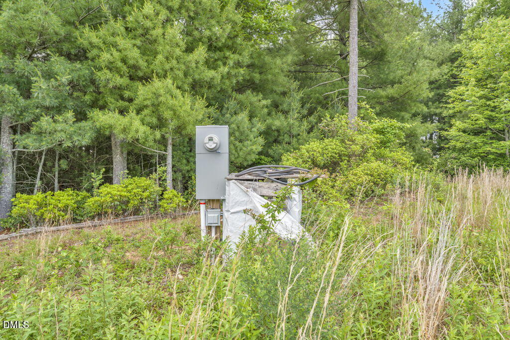 488 Dewitt Road