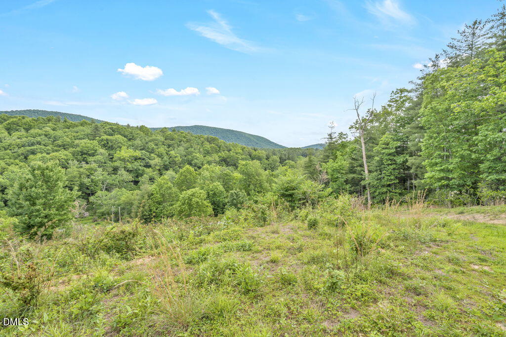 488 Dewitt Road