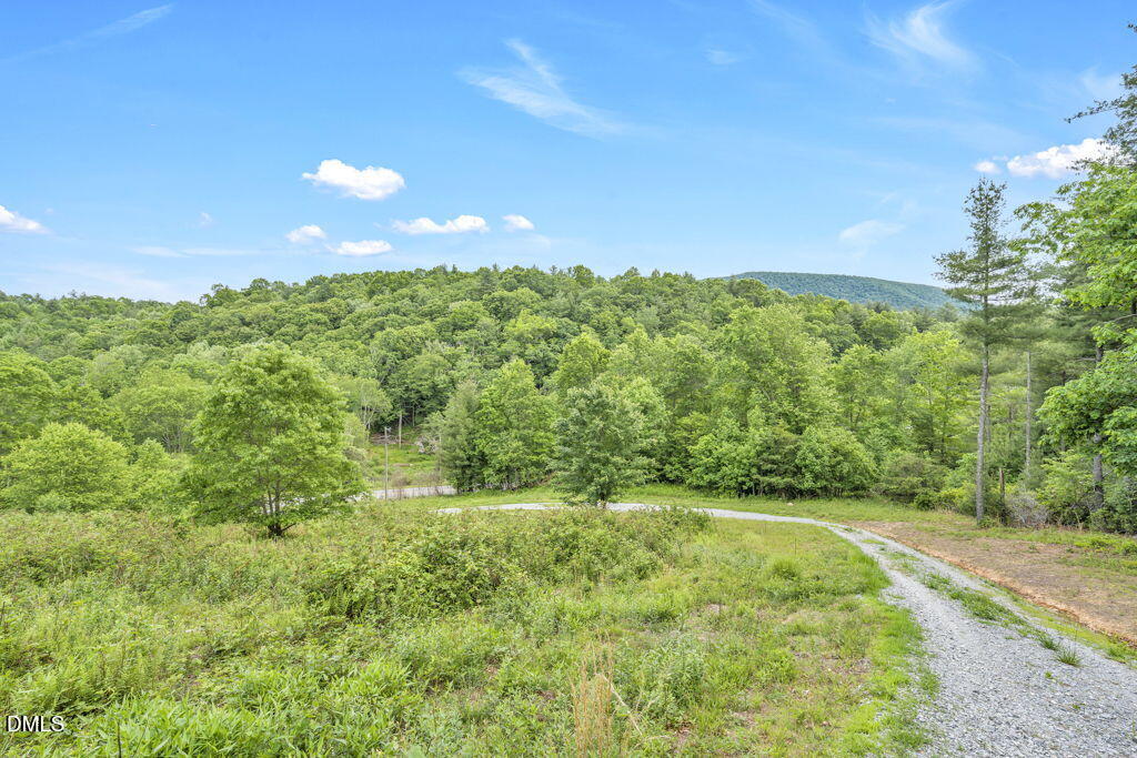 488 Dewitt Road