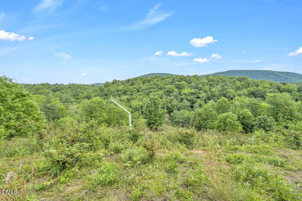 488 Dewitt Road