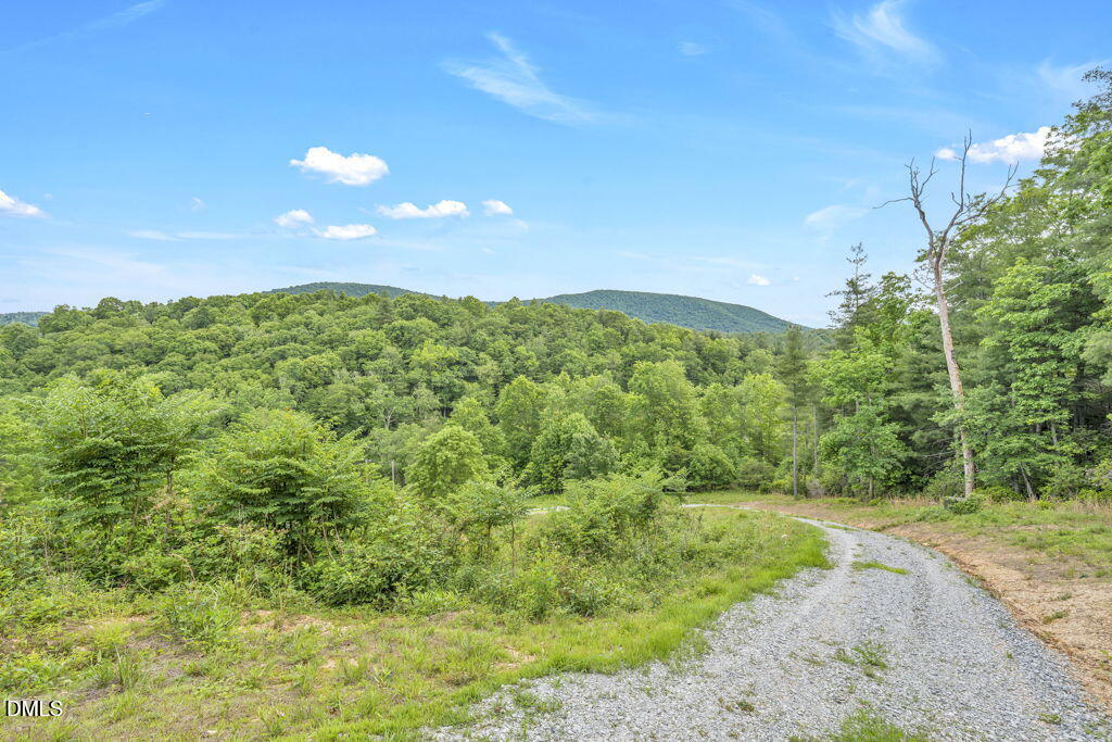488 Dewitt Road