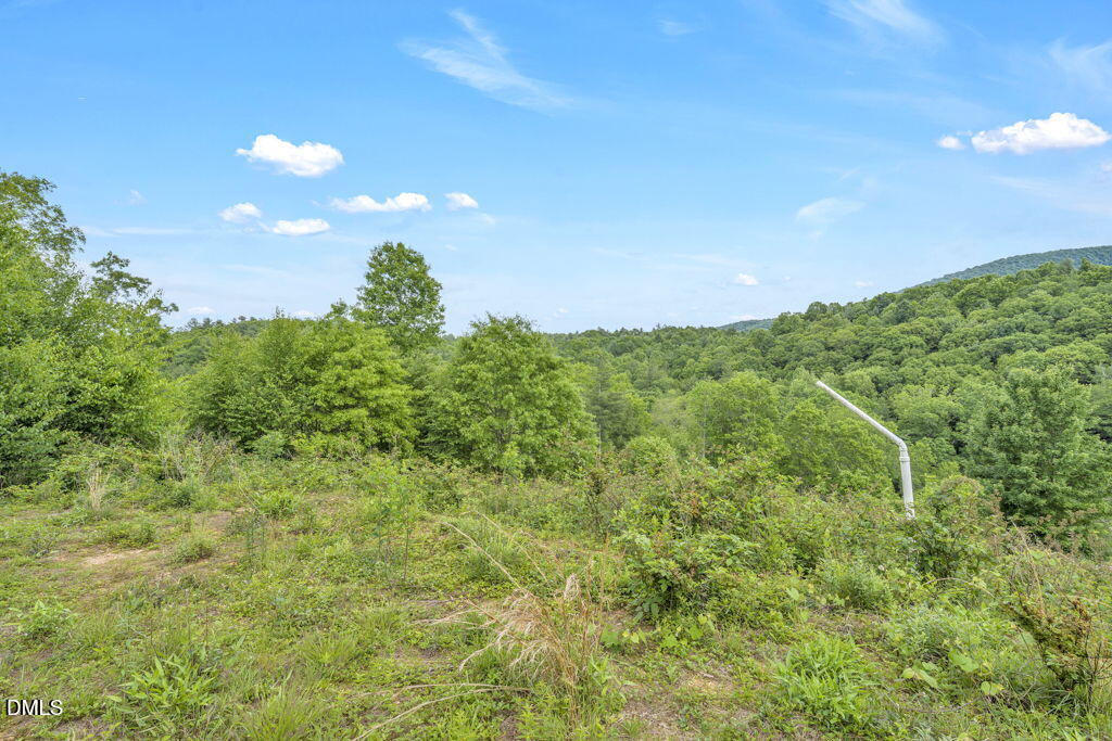 488 Dewitt Road