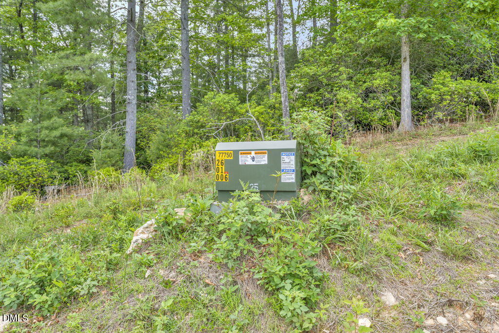 488 Dewitt Road