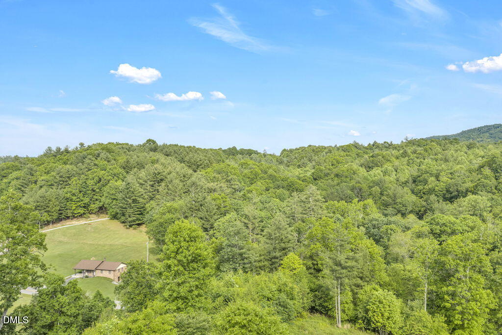 488 Dewitt Road