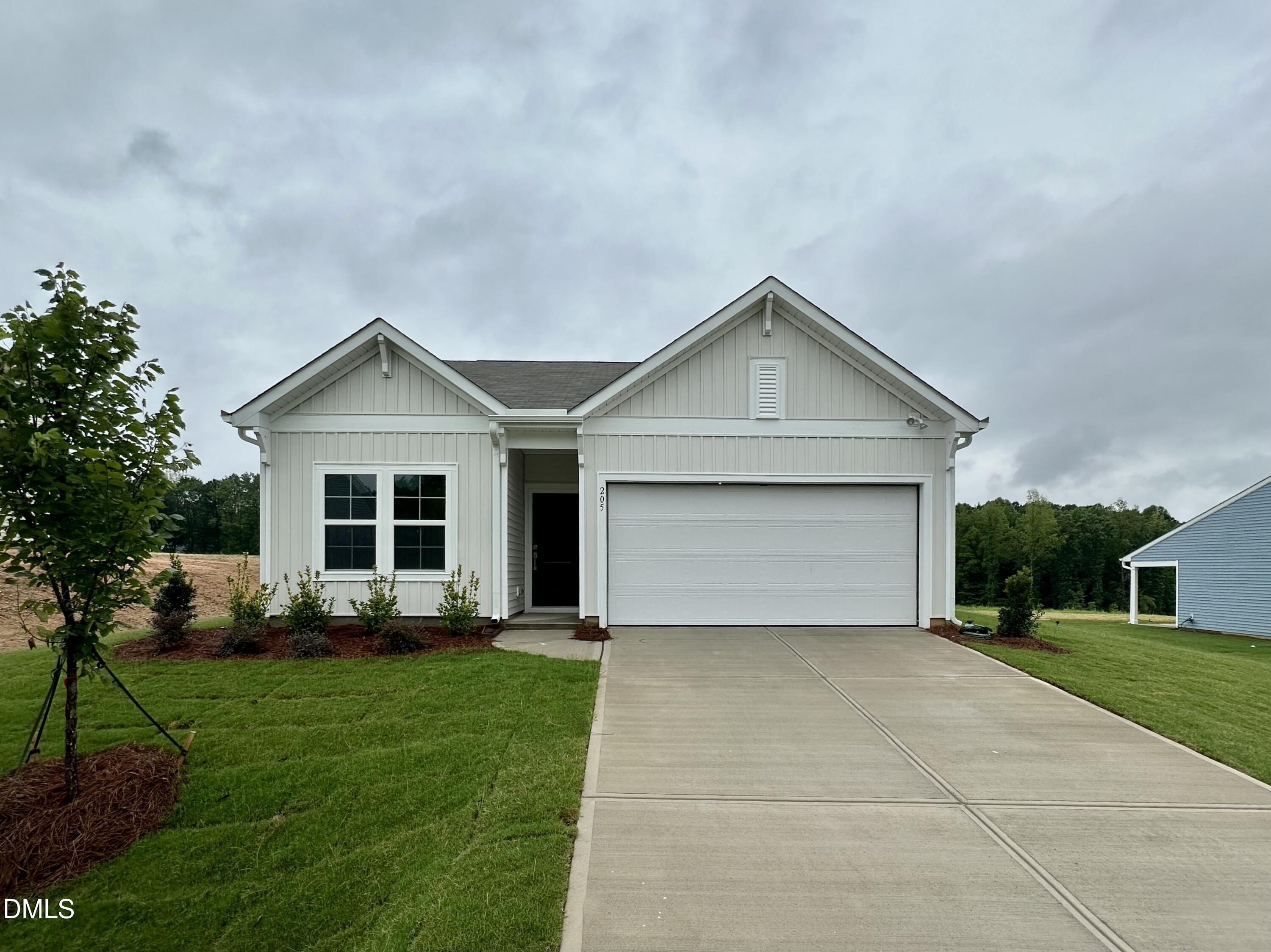 205 Buckthorn Drive