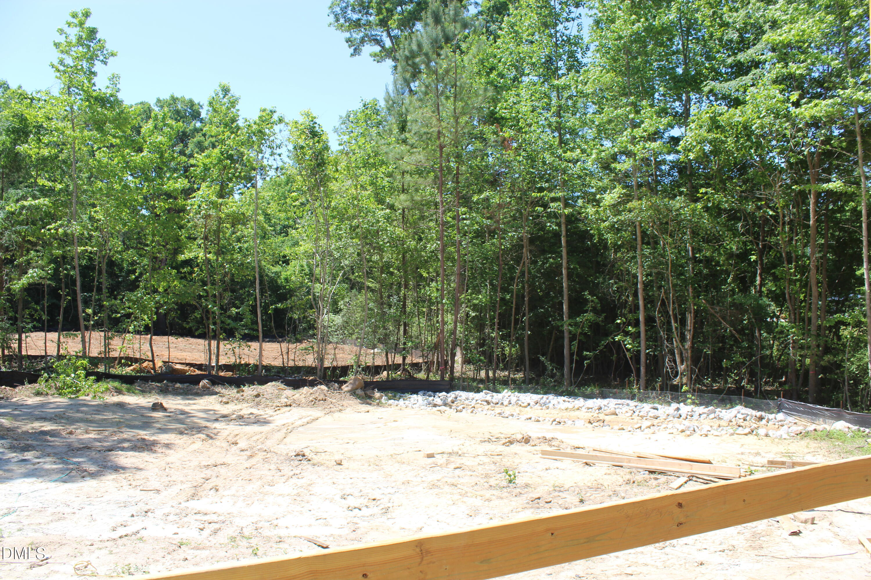 5317 Asher Woods