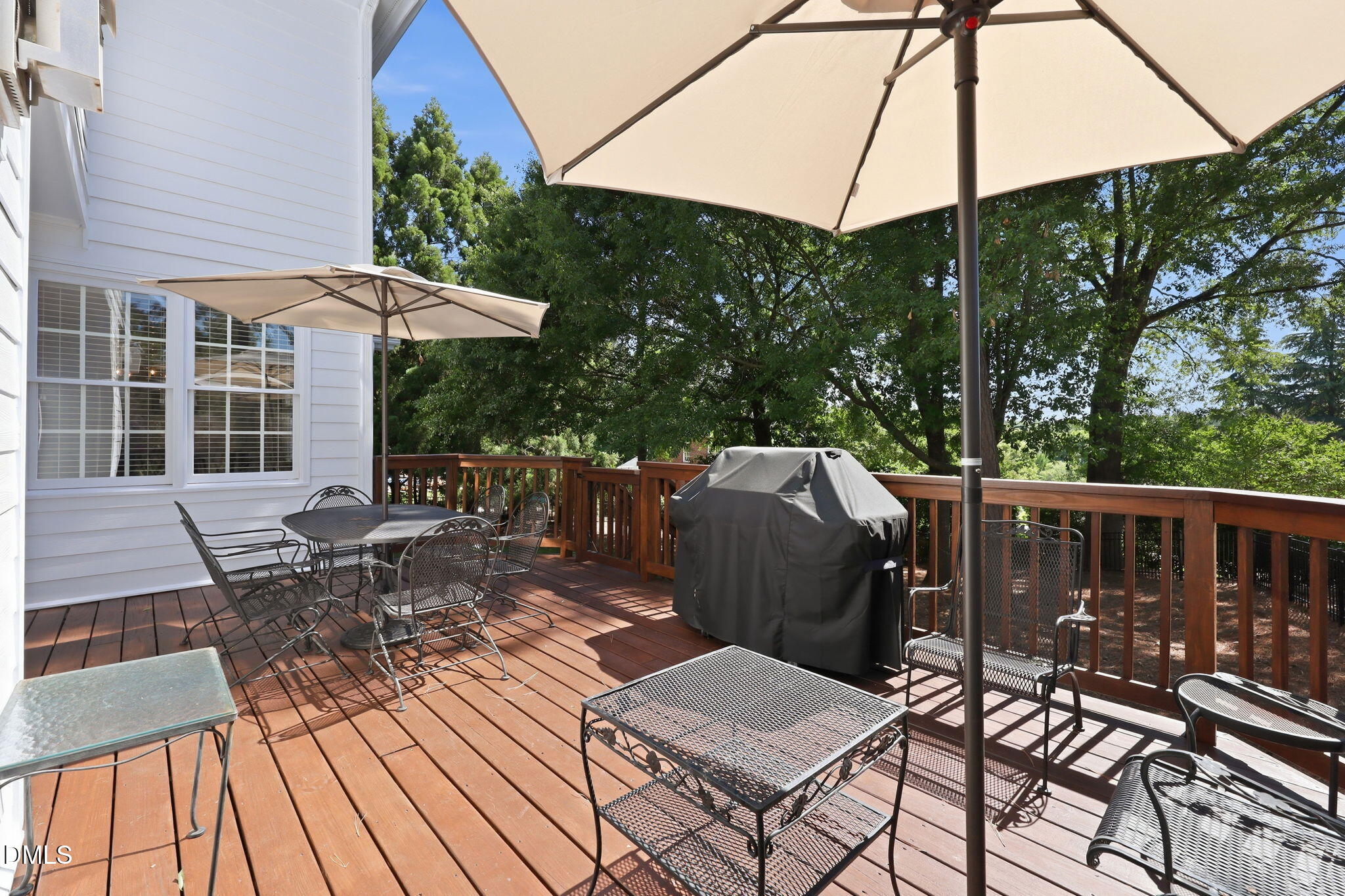 12500 Ribbongrass Court