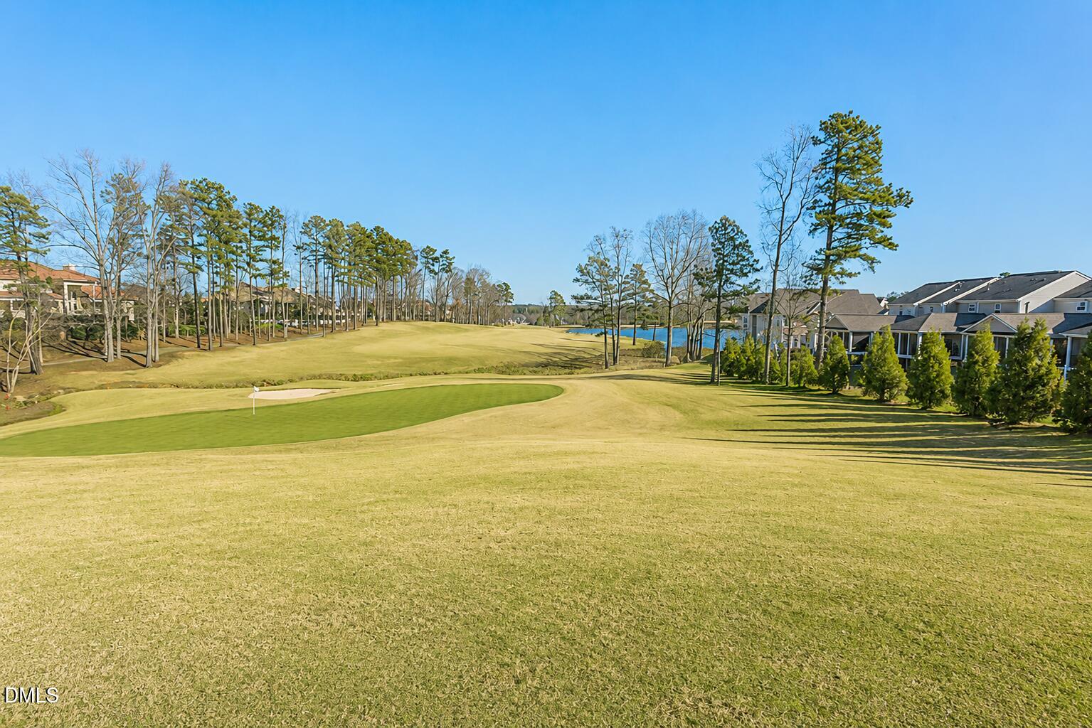 12500 Ribbongrass Court
