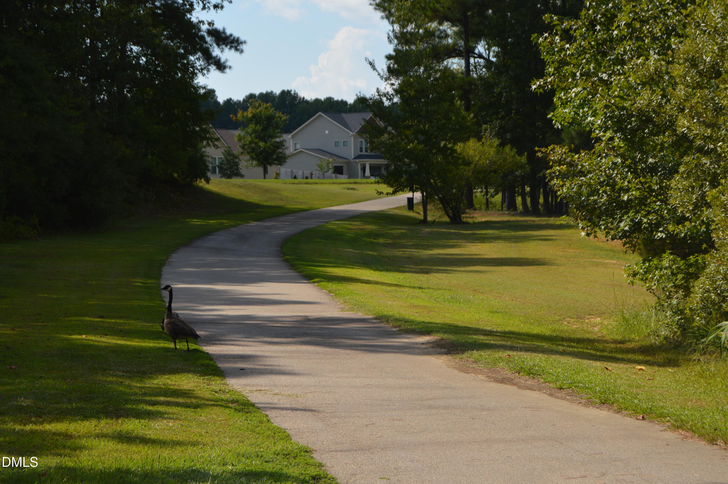 523 Catfish Lake Drive