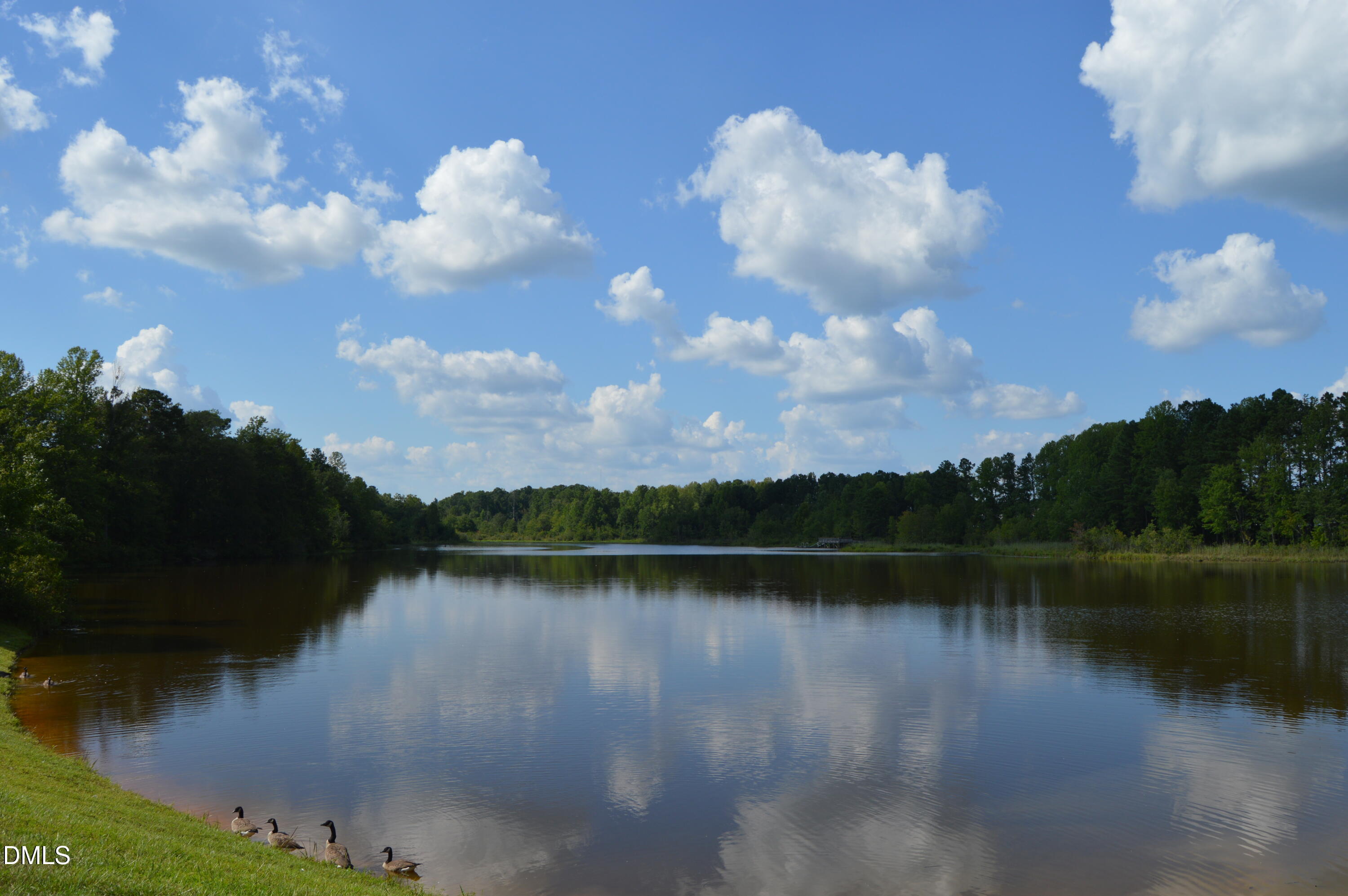 523 Catfish Lake Drive