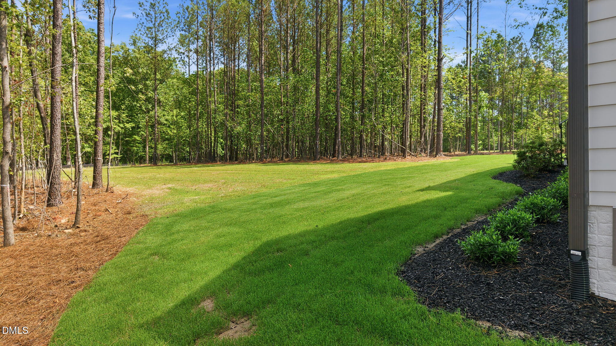 80 Spanish Oak Drive
