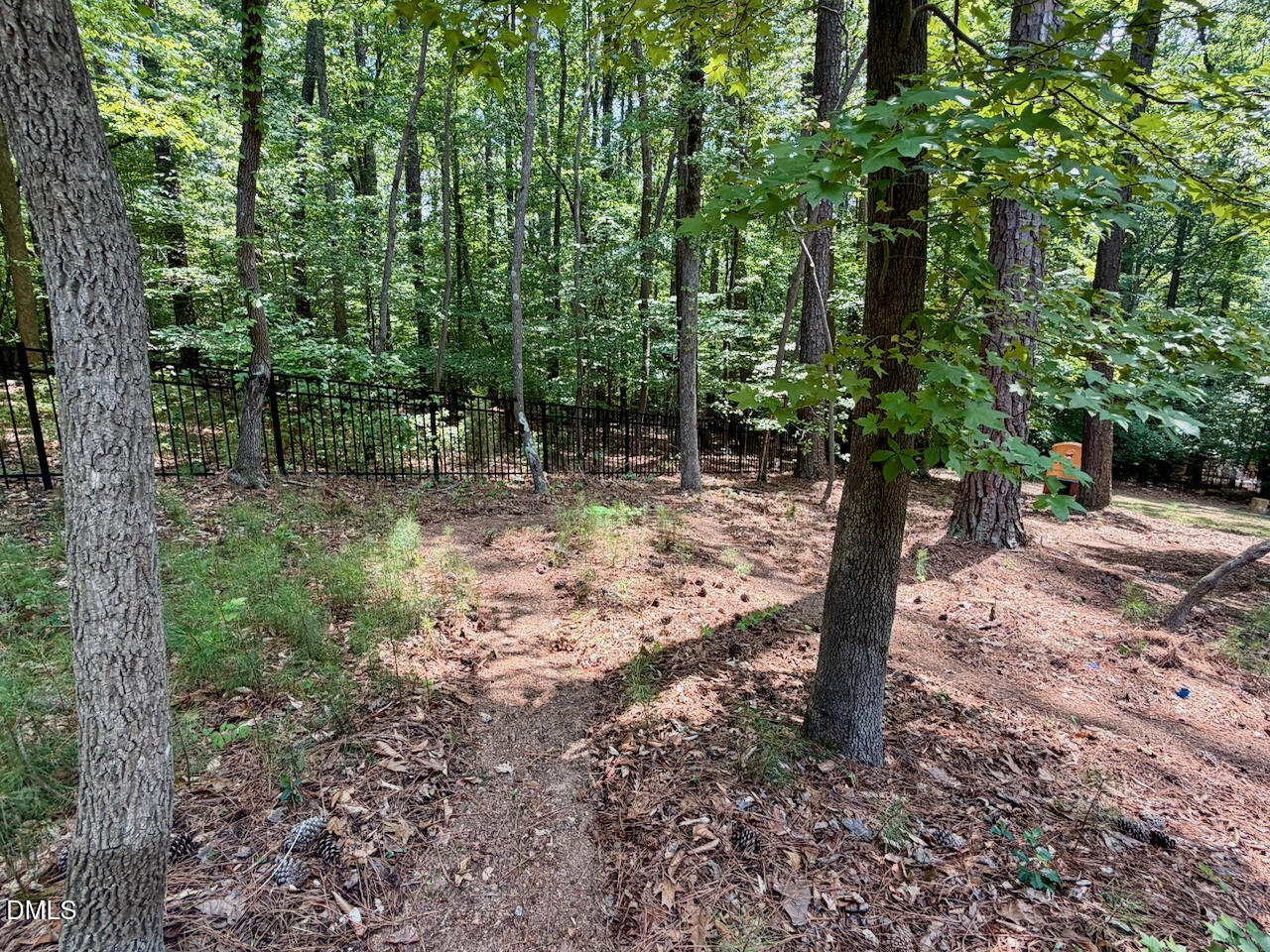 1213 Fall Line Court
