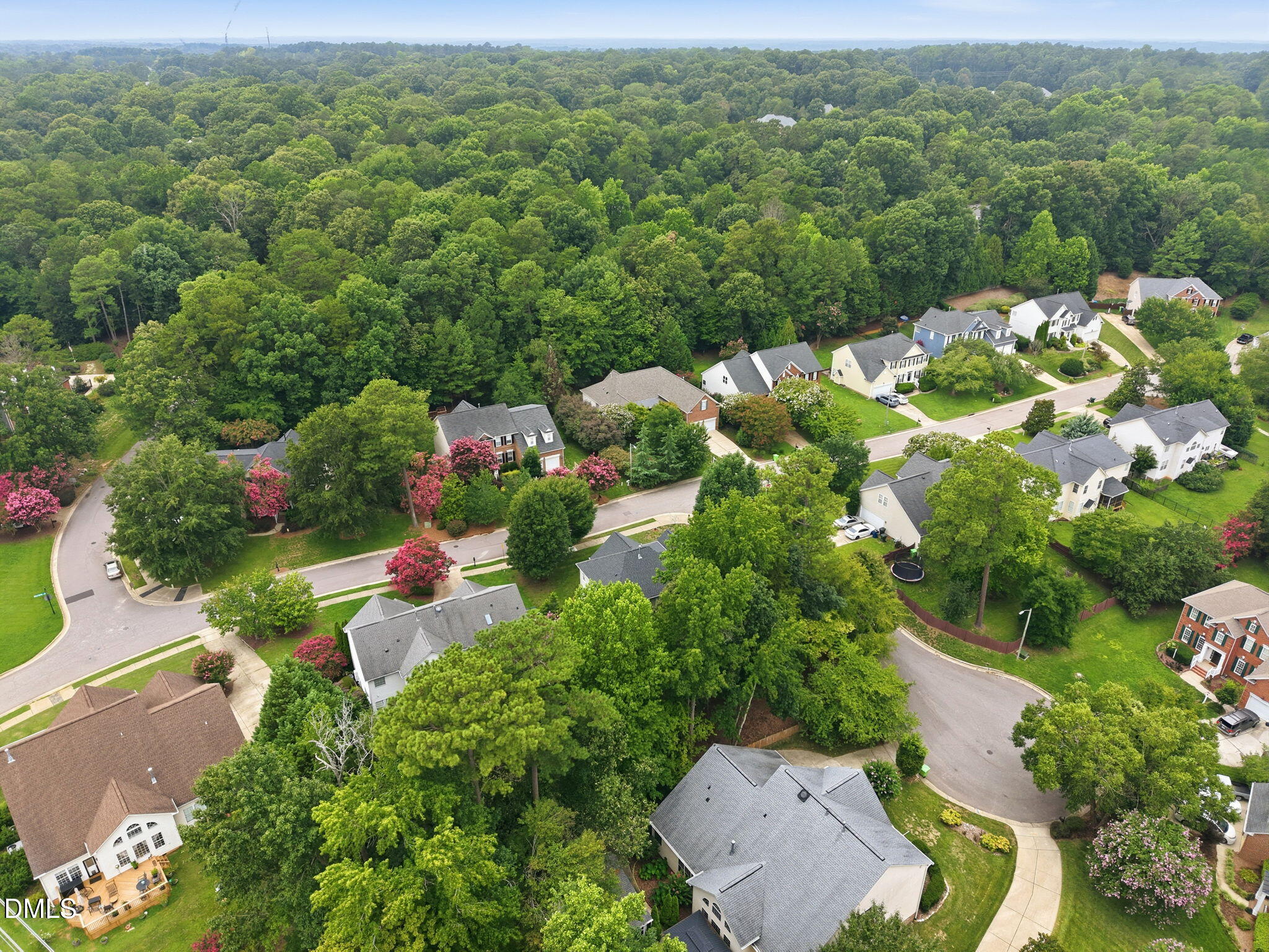 1601 Wood Spring Court