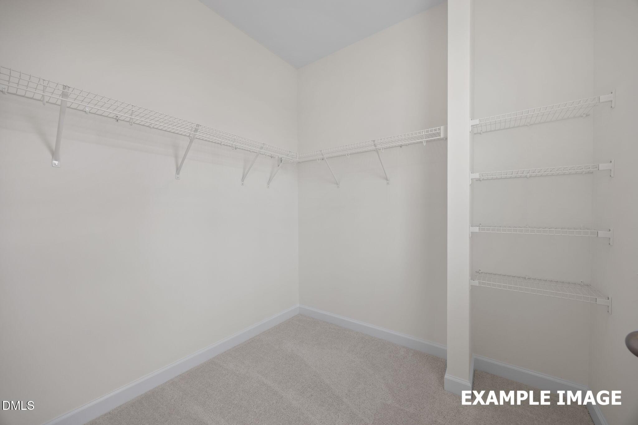 809 Carpet Grass Avenue