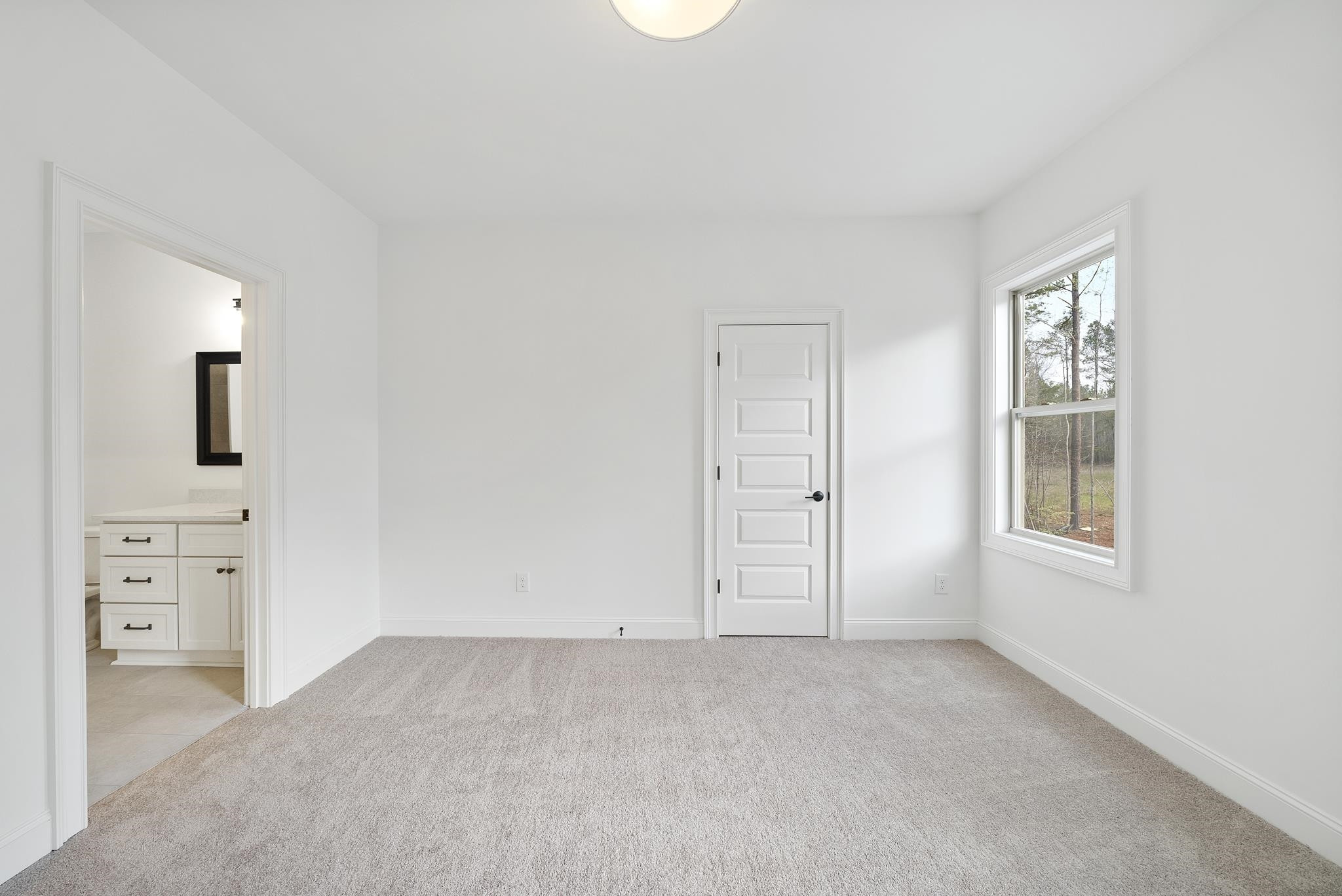1119 Springdale Drive