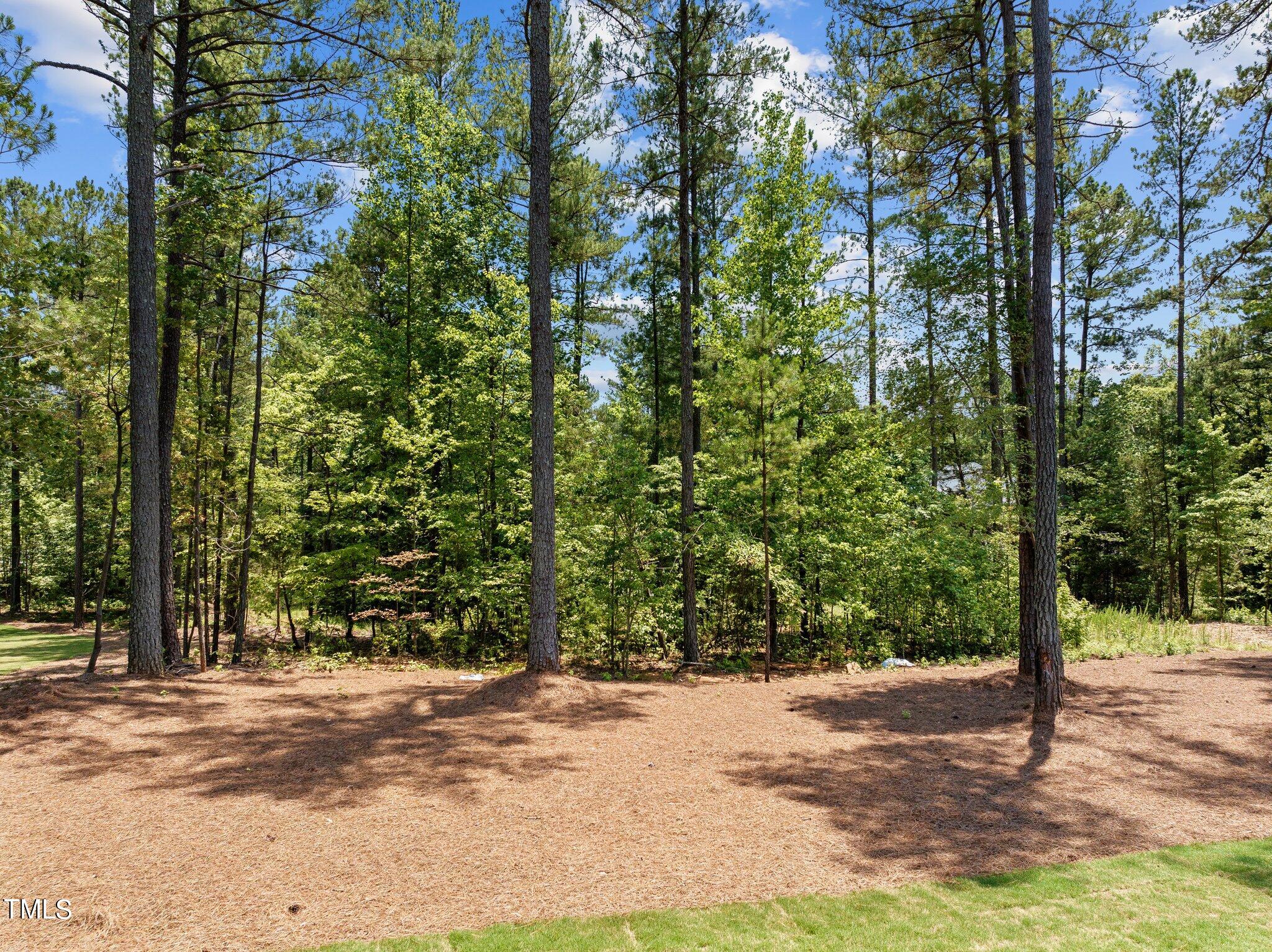 1120 Springdale Drive