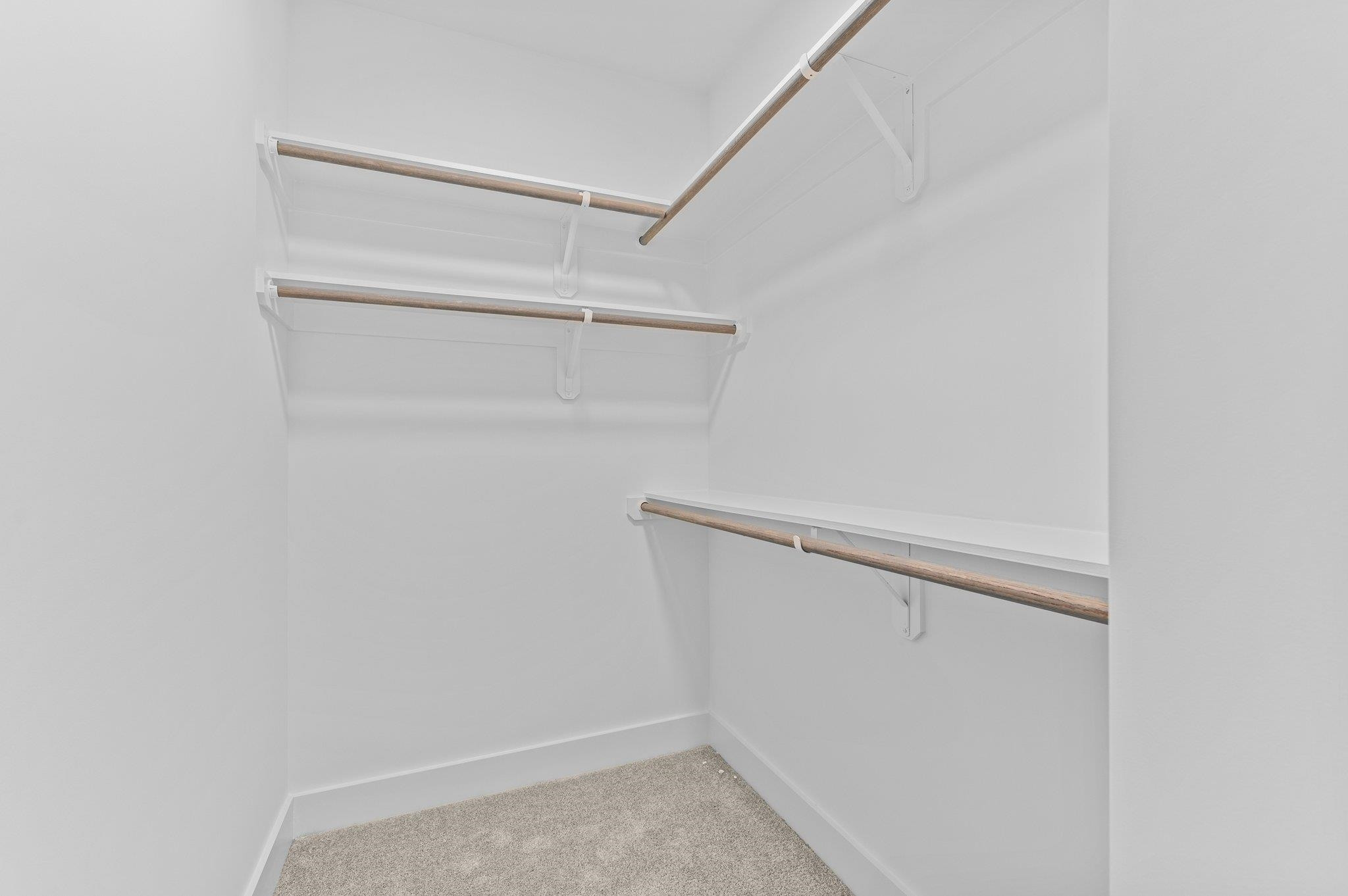 55 Satinwing Court