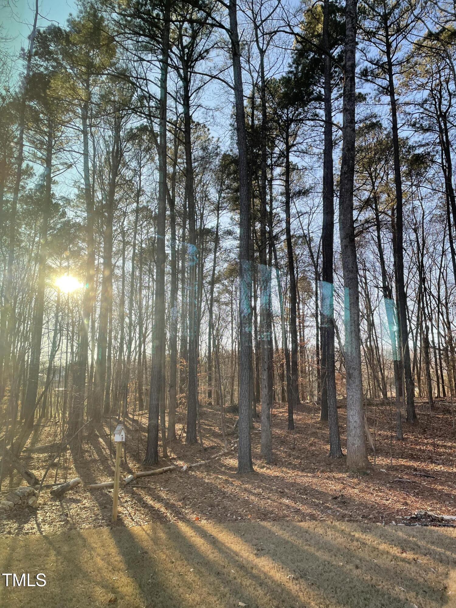 290 Hidden Lake Drive