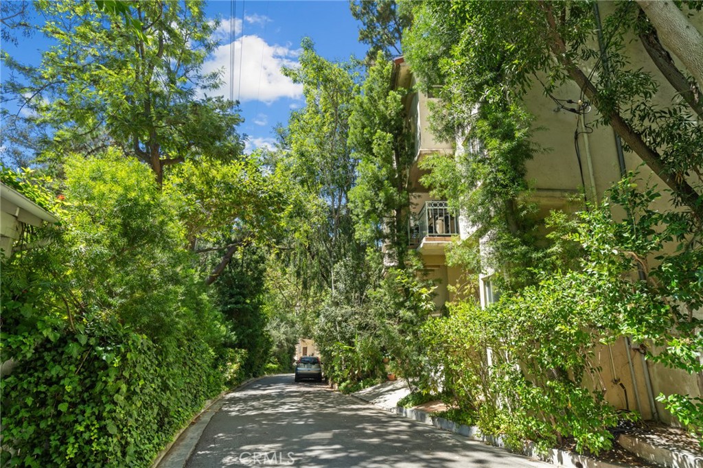 10055 Reevesbury Drive