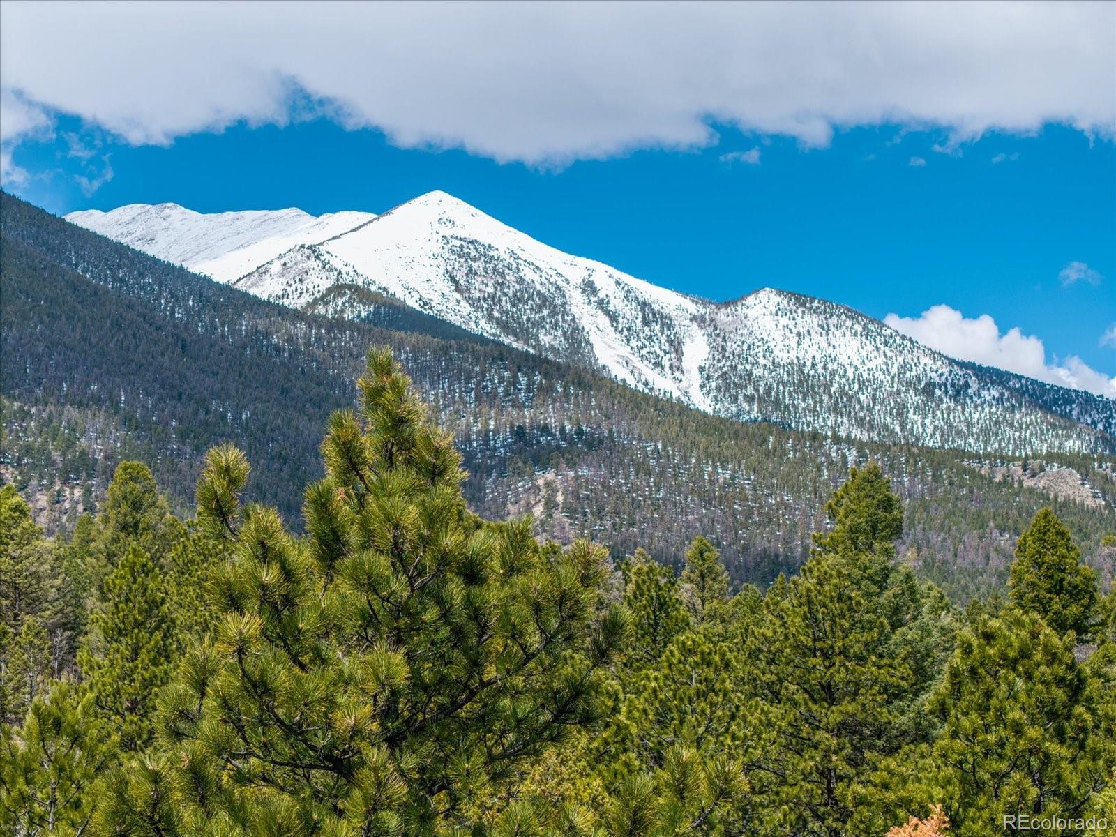 24900 County Road 339