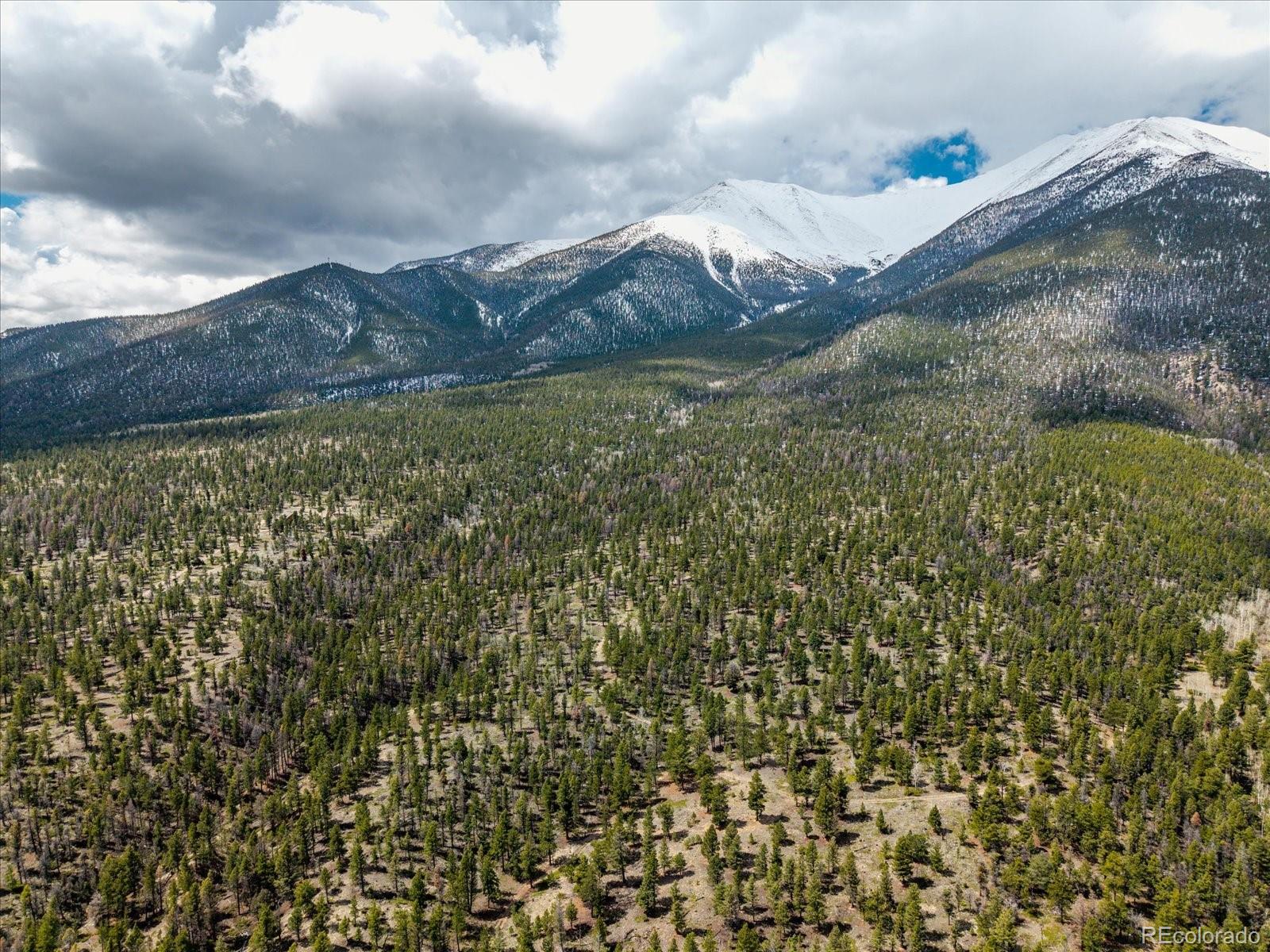 24900 County Road 339