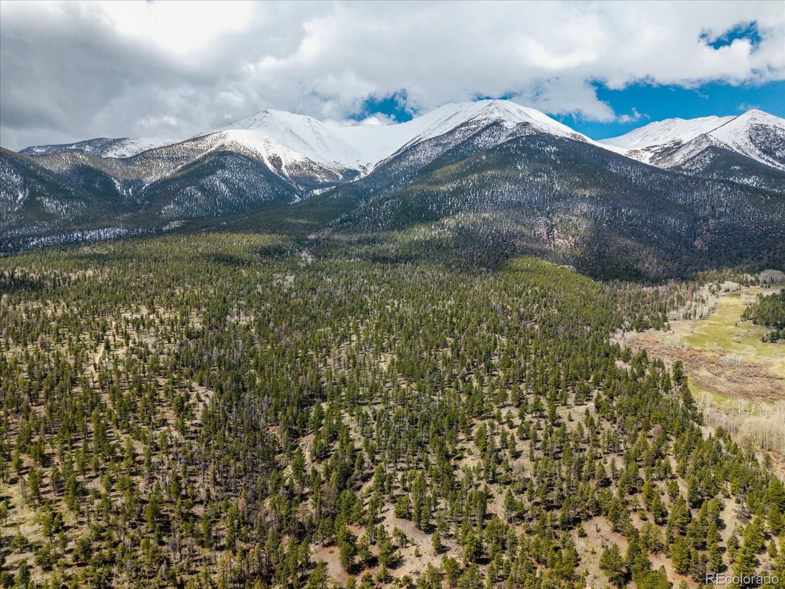 24900 County Road 339