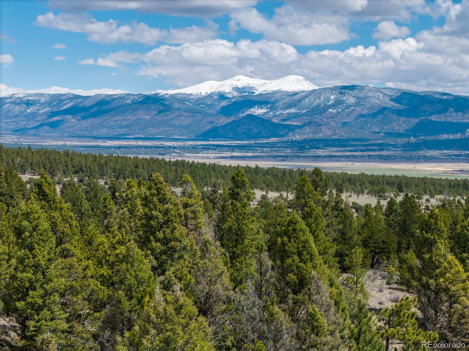 24900 County Road 339