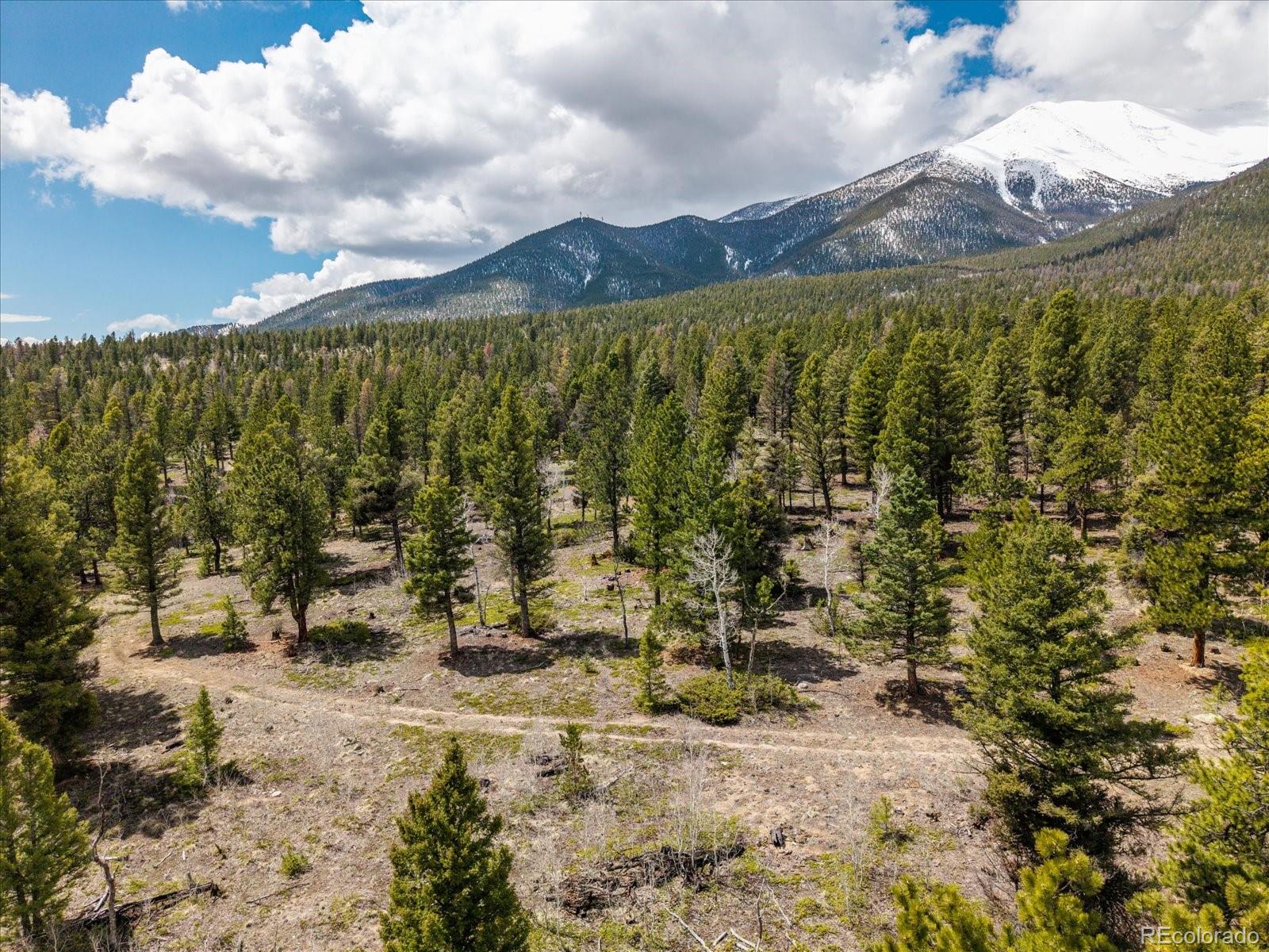 24900 County Road 339