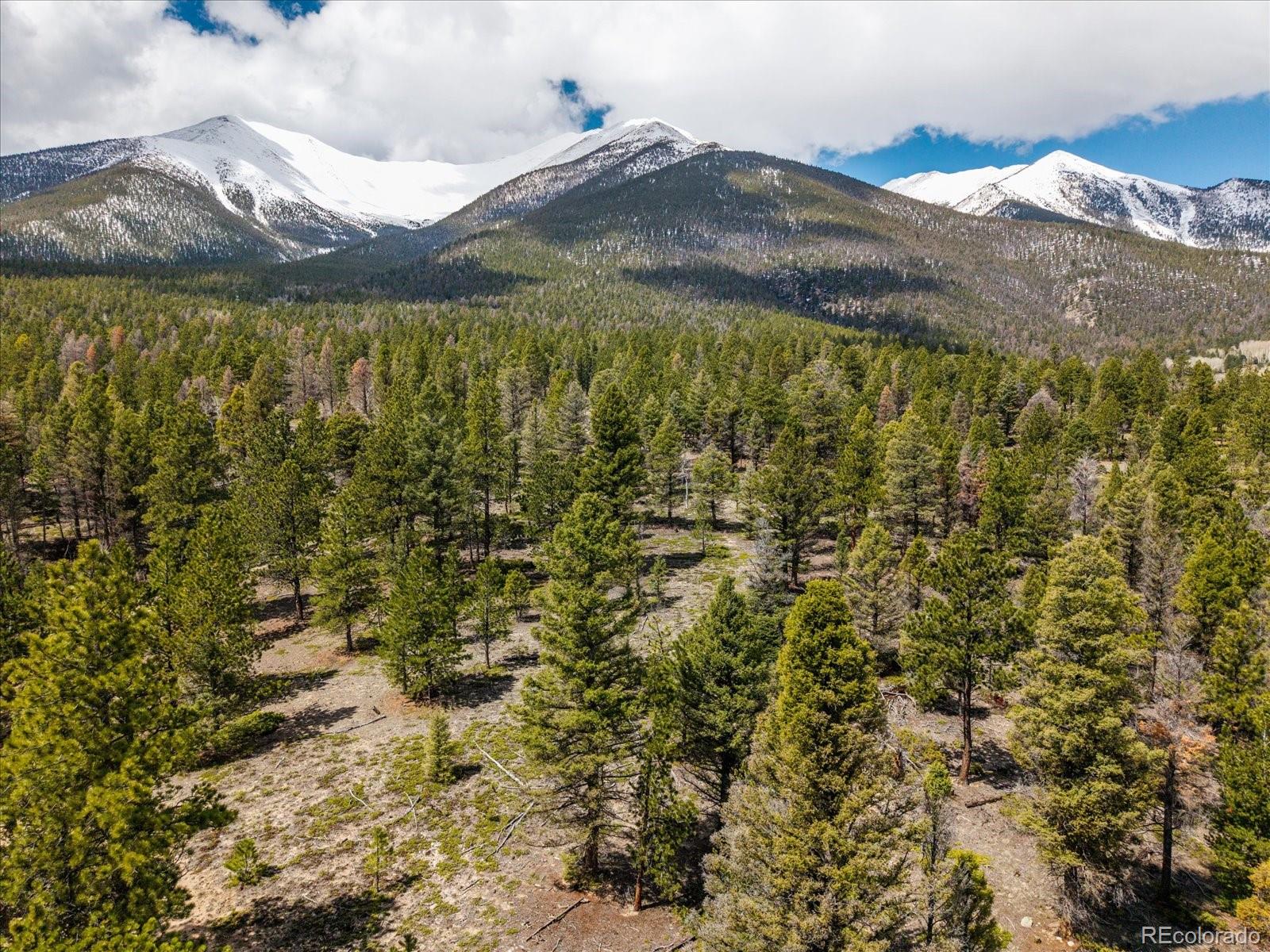 24900 County Road 339