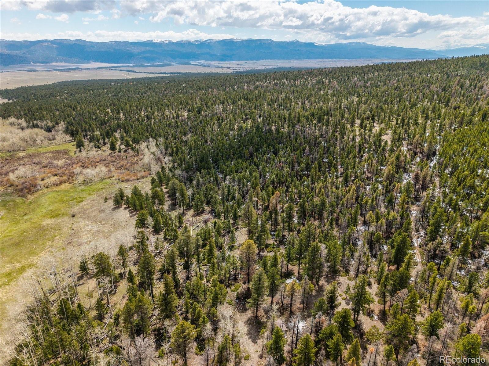 24900 County Road 339