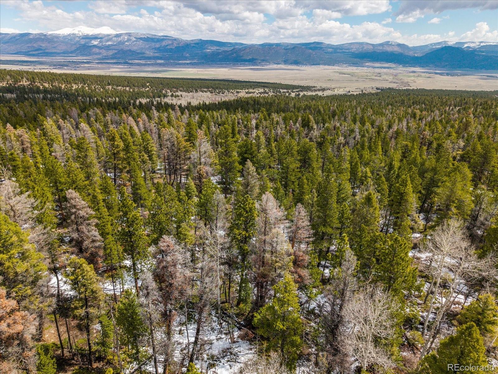 24900 County Road 339