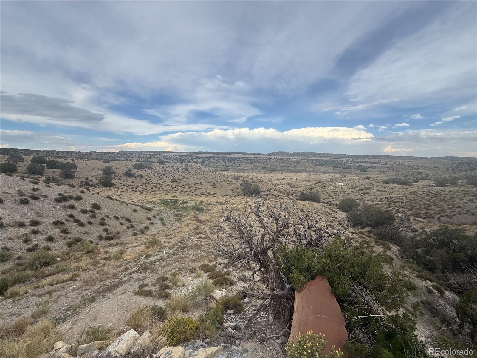 470 Bowie Road