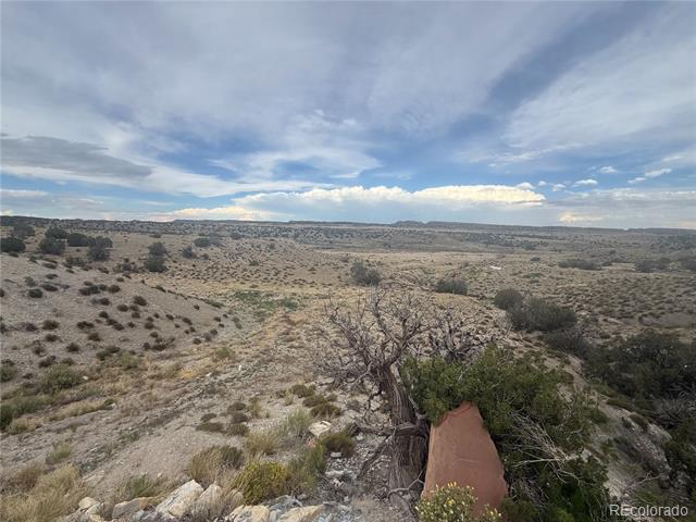 470 Bowie Road