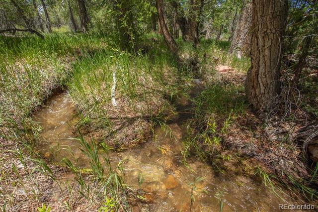 12120 County Road 263