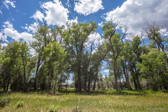 12120 County Road 263