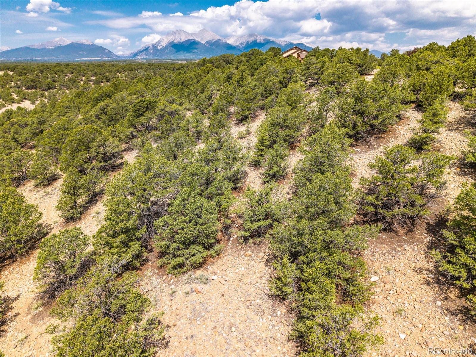 12550 Bald Eagle Lane