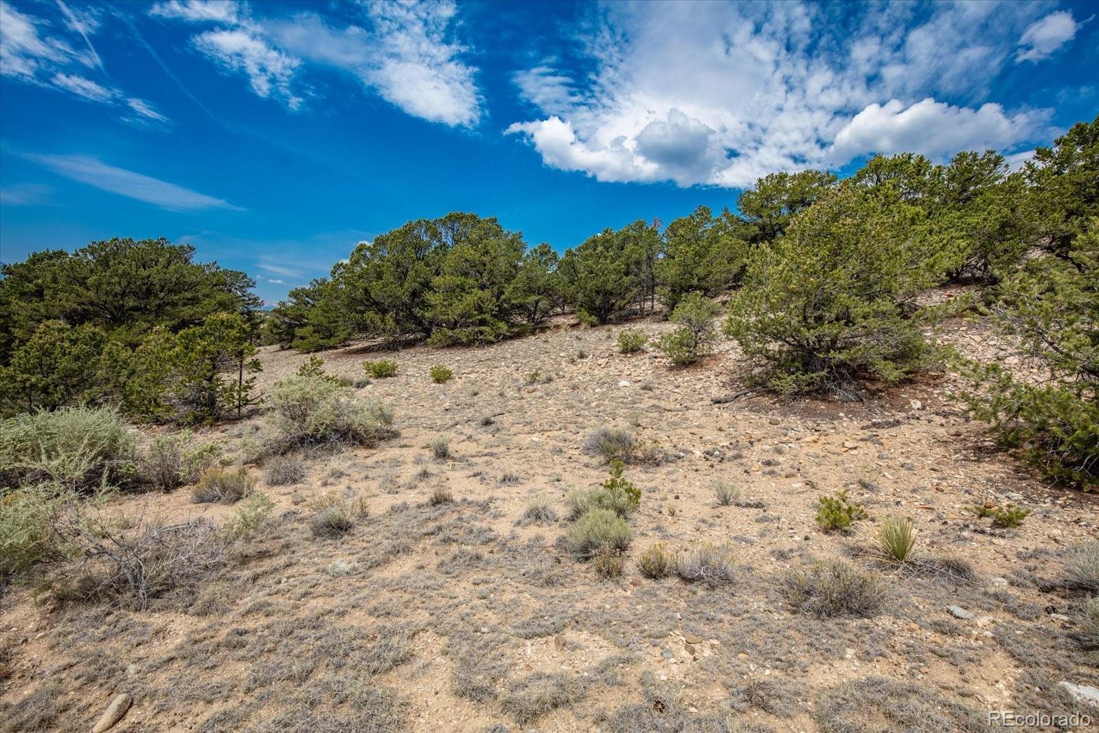 12550 Bald Eagle Lane